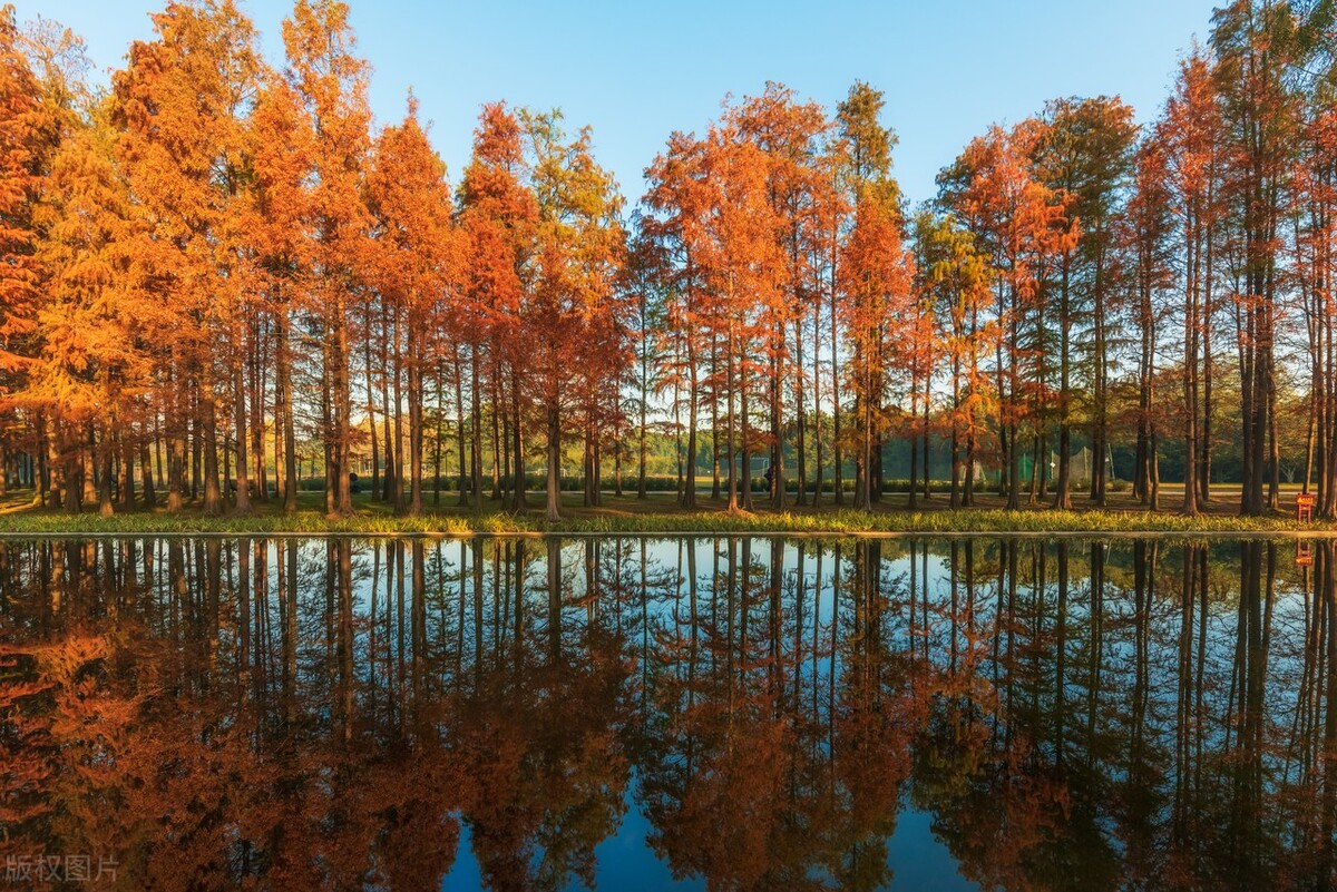 上海游玩免费景点推荐,上海推荐逛的免费景点