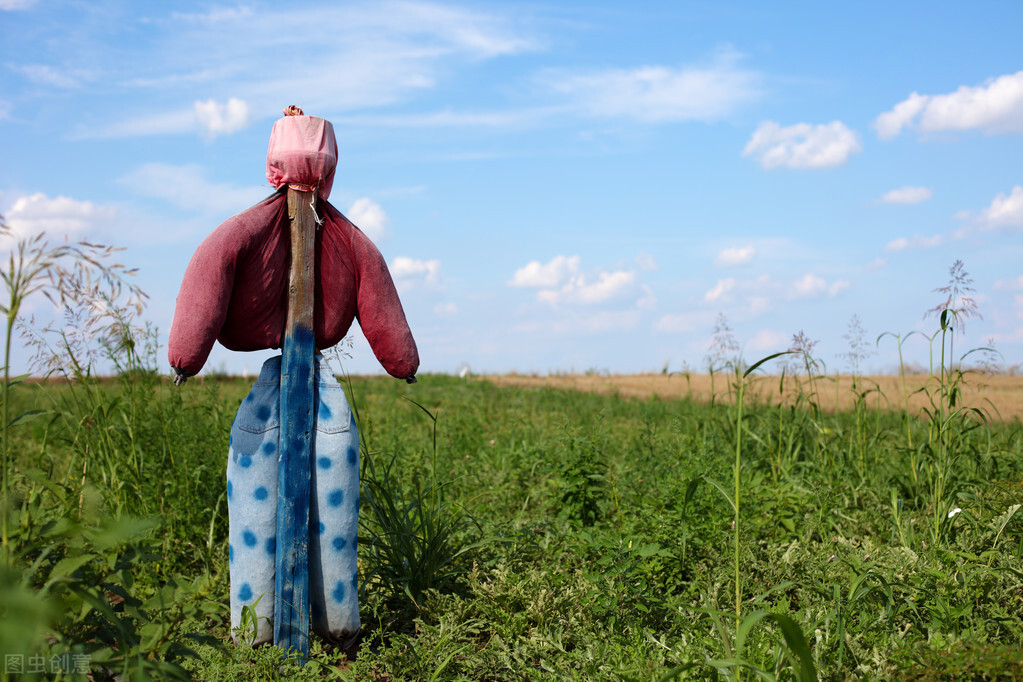 瑗跨摐闀垮ぇ浜嗗嵈琚笩鍟勪簡,瑗跨摐闀垮ぇ鍚庤楦熷晞鍧忎簡