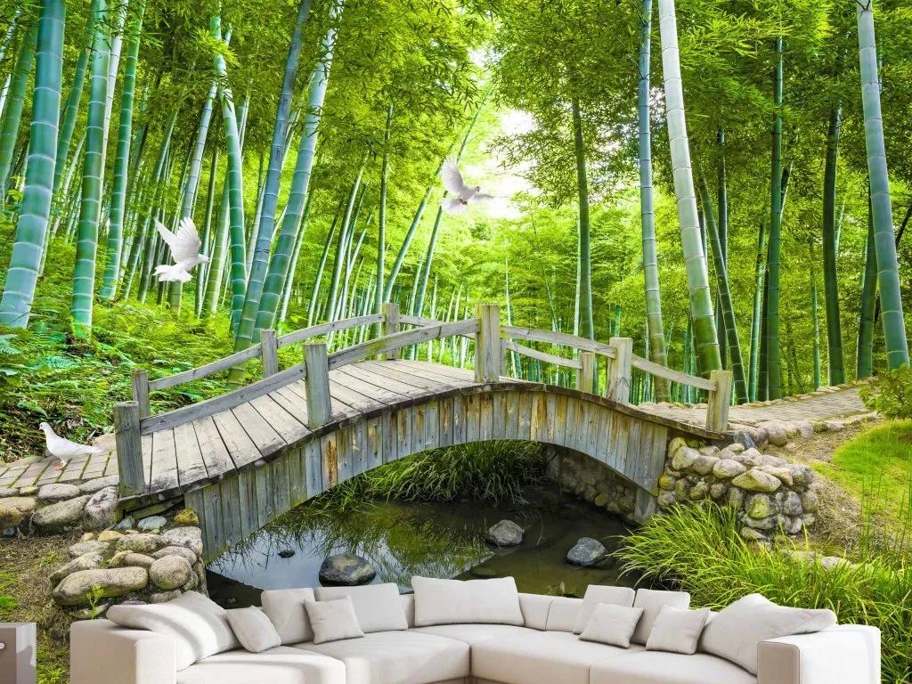 闺蜜小说知乎,闺蜜小说免费阅读