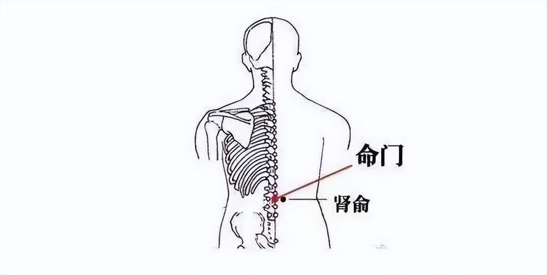 寒则凝则瘀则堵,寒则凝湿则堵是什么意思
