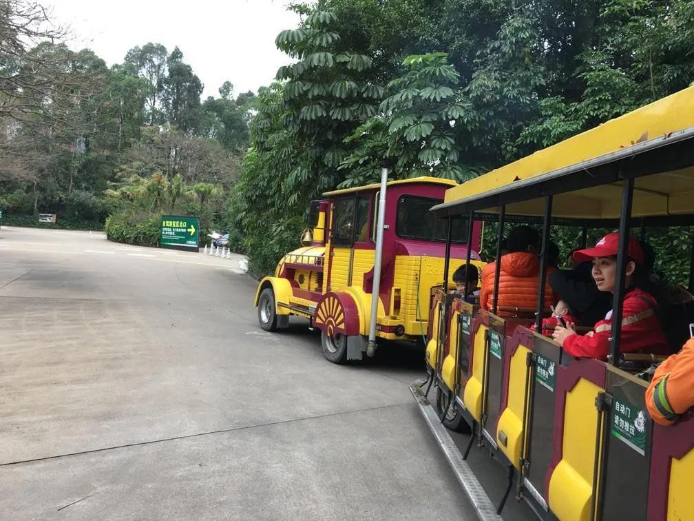 广州长隆野生动物园全部动物,广州长隆野生动物园所有动物介绍