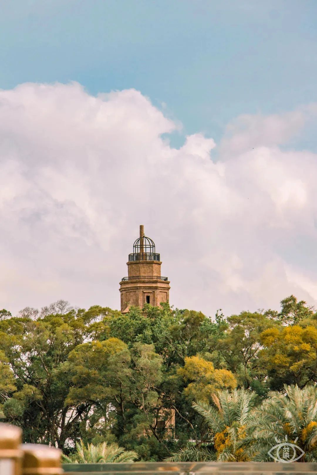 深圳有特色的旅游地,广东深圳特色风景