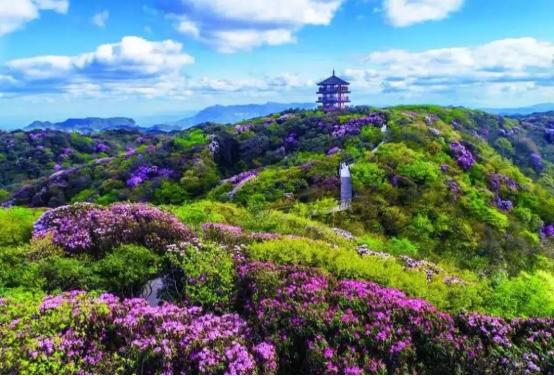 良瑜国际养生谷合院,良瑜国际养生谷别墅户型