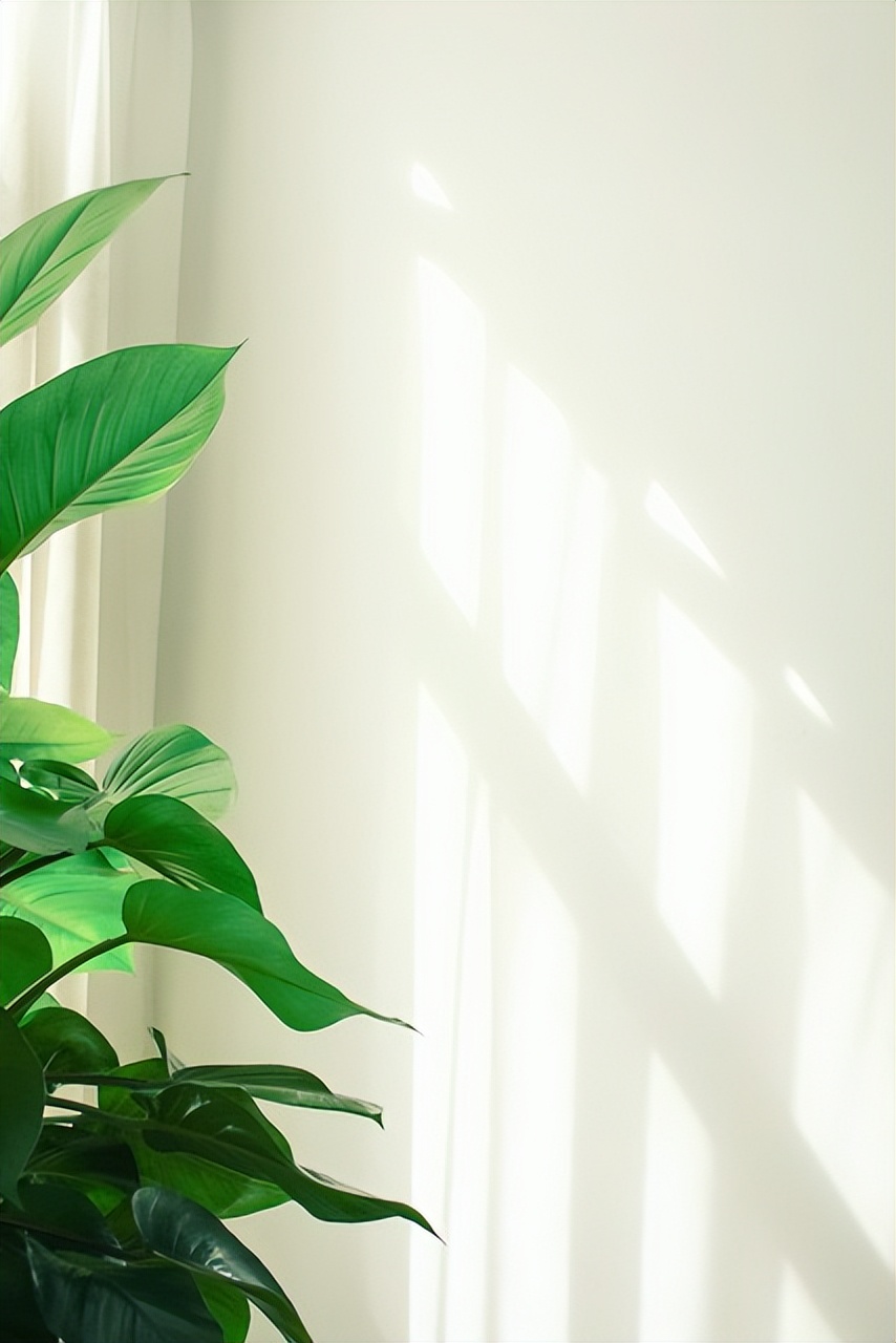 家用负氧离子机真的有用吗,开负氧离子机睡觉有好处吗