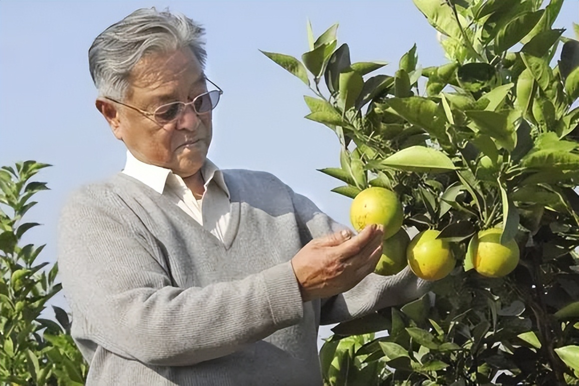 褚时健是怎么被诬陷入狱的,褚时健到底有没有贪污