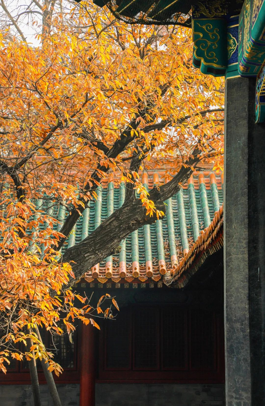 曲阜三孔景区清明节免门票吗,台儿庄古城曲阜三孔两日游