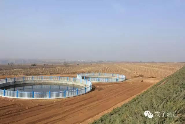 不忘初心继续前行方得始终,不忘初心继续前进攻坚克难