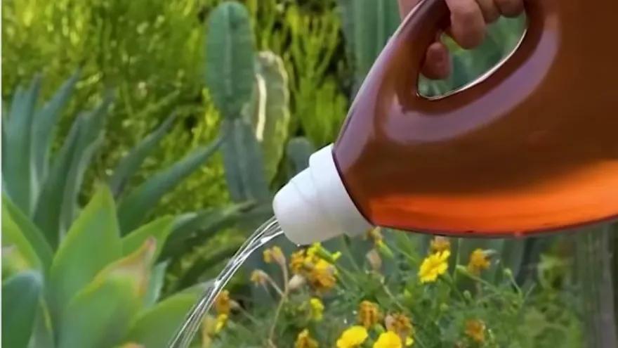 小妙招大作用教你一招,小妙招大作用见效快