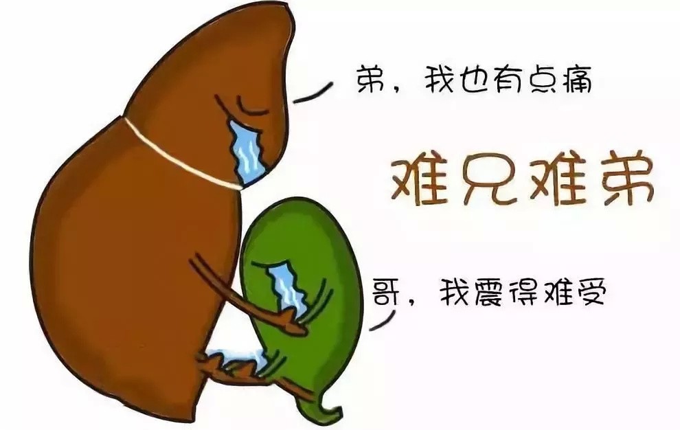 怀孕后孕吐严重怎么办,怀孕11周晚上孕吐严重