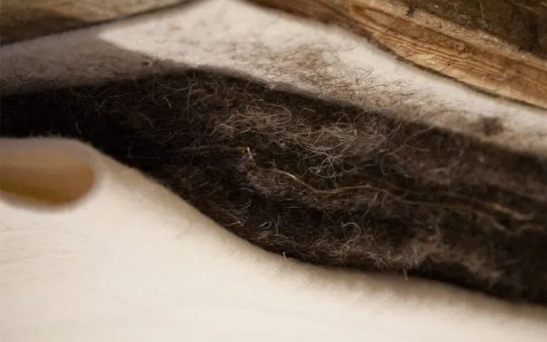 记忆棉3500d和5500d哪个好,记忆棉材料怎么样