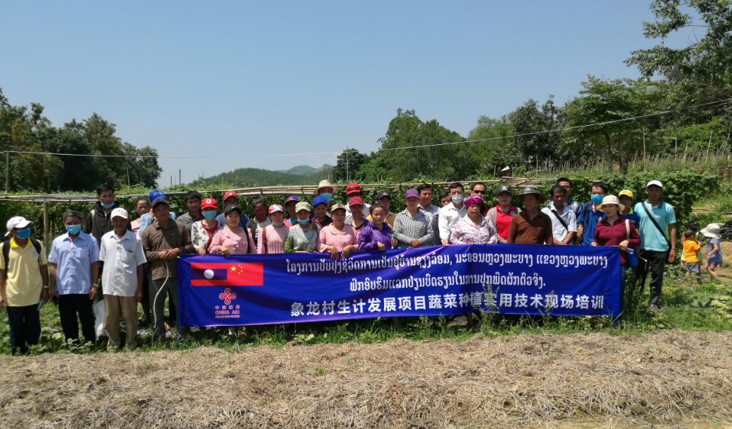 陕西老挝媳妇杨玛丽最新视频,老挝媳妇杨玛丽在陕西哪里