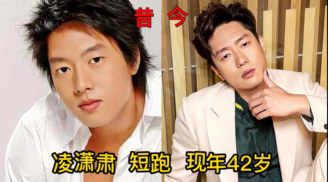 跆拳道出道的明星,跆拳道明星