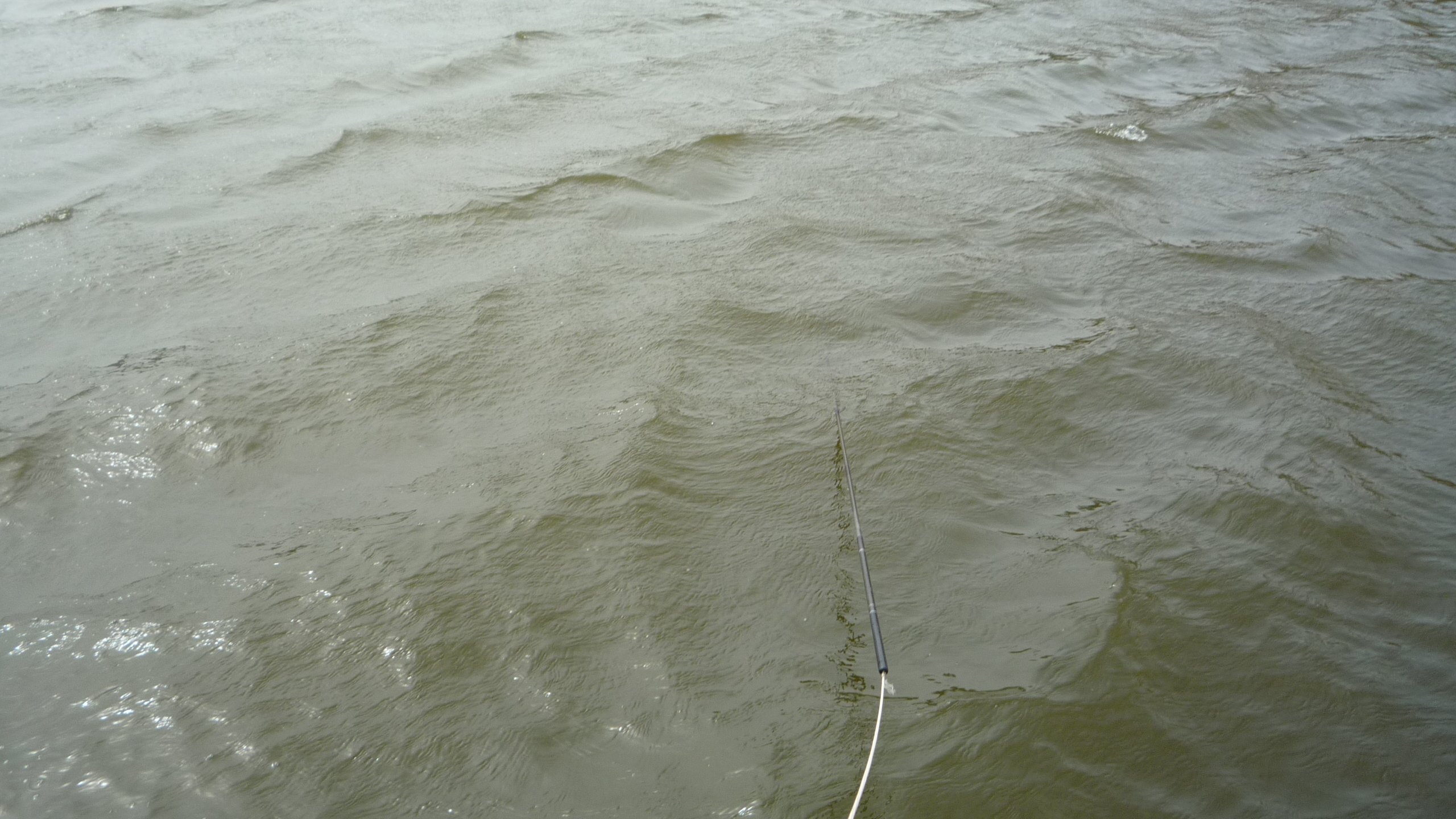 没想到，钓龄20多年的我，还能在选竿子上吃大亏……