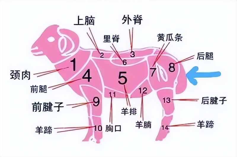 吃羊尾油真实反应,吃了羊尾油会从屁股流出来吗