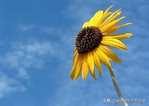 25条90后炒股新人的惨痛教训,炒股最真实的经历