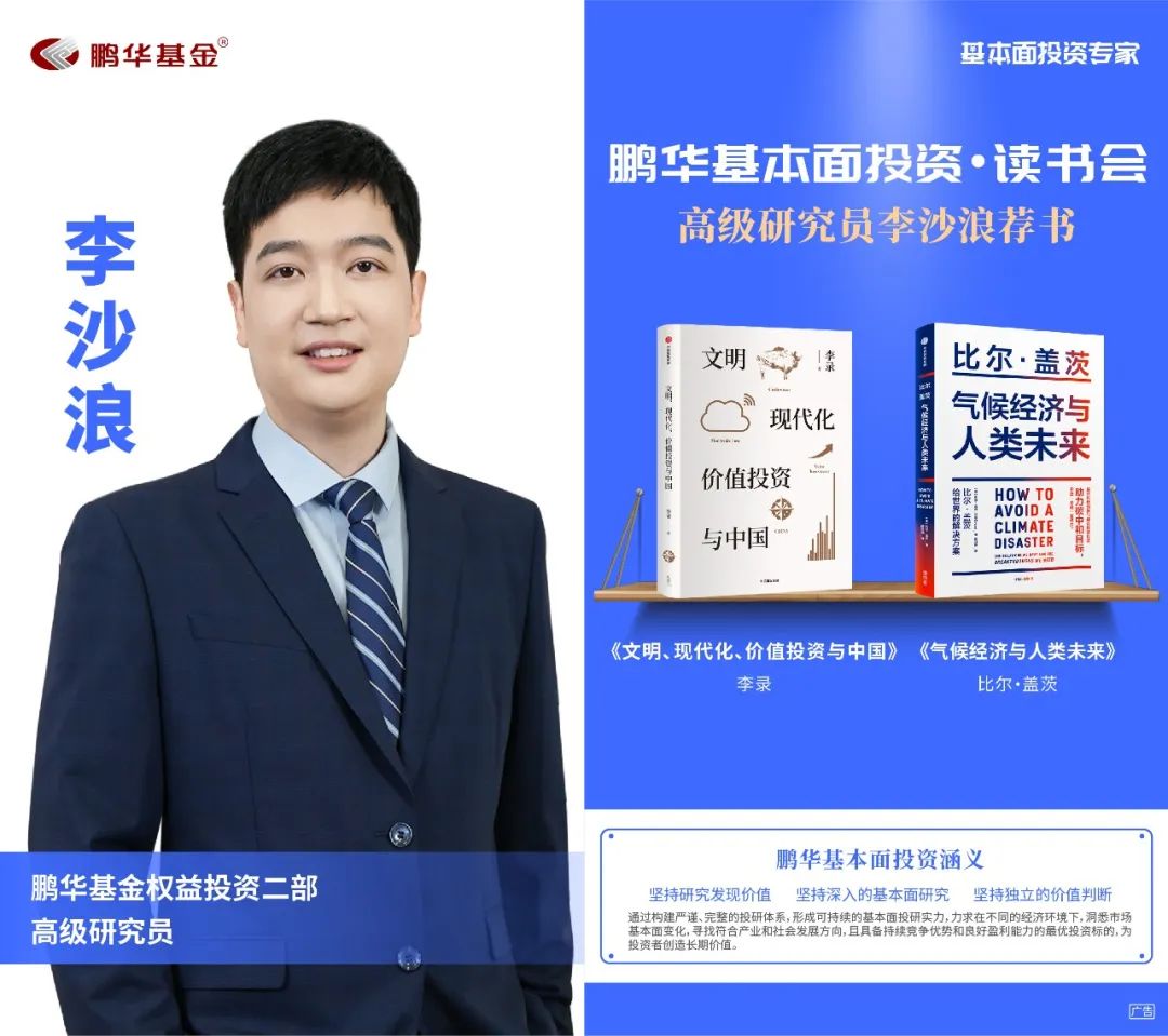 鹏华基金王宗合价值分析,鹏华基金王宗合深度分析