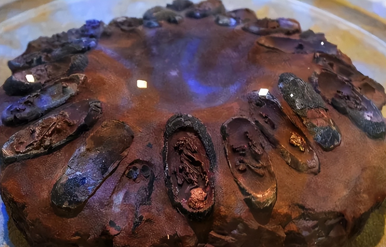 各种古生物化石图片,神秘的地球古生物昆虫化石