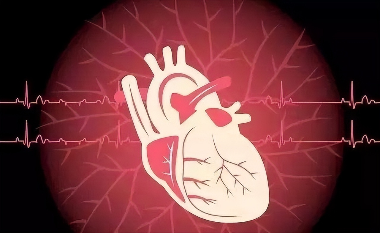 黄芪当归长期泡水喝对肝脏有害吗,黄芪和什么搭配泡水喝对肝最好