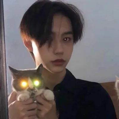 肖战追星文案简短干净,有内涵有深度追星文案短句