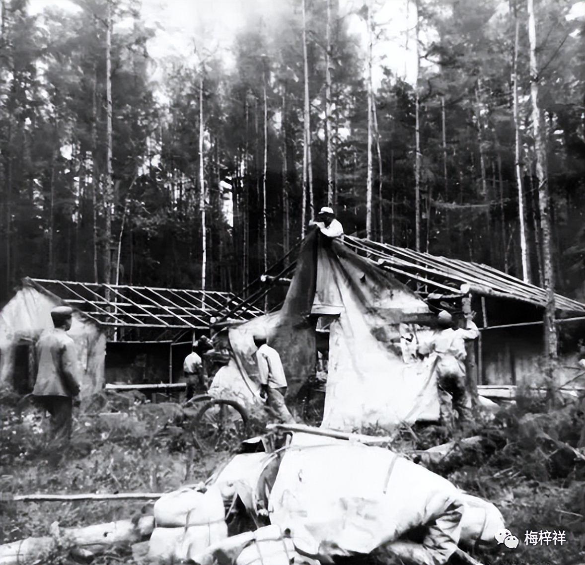 褚兆洪:奔向大兴安岭（下）原创褚兆洪梅梓祥推介