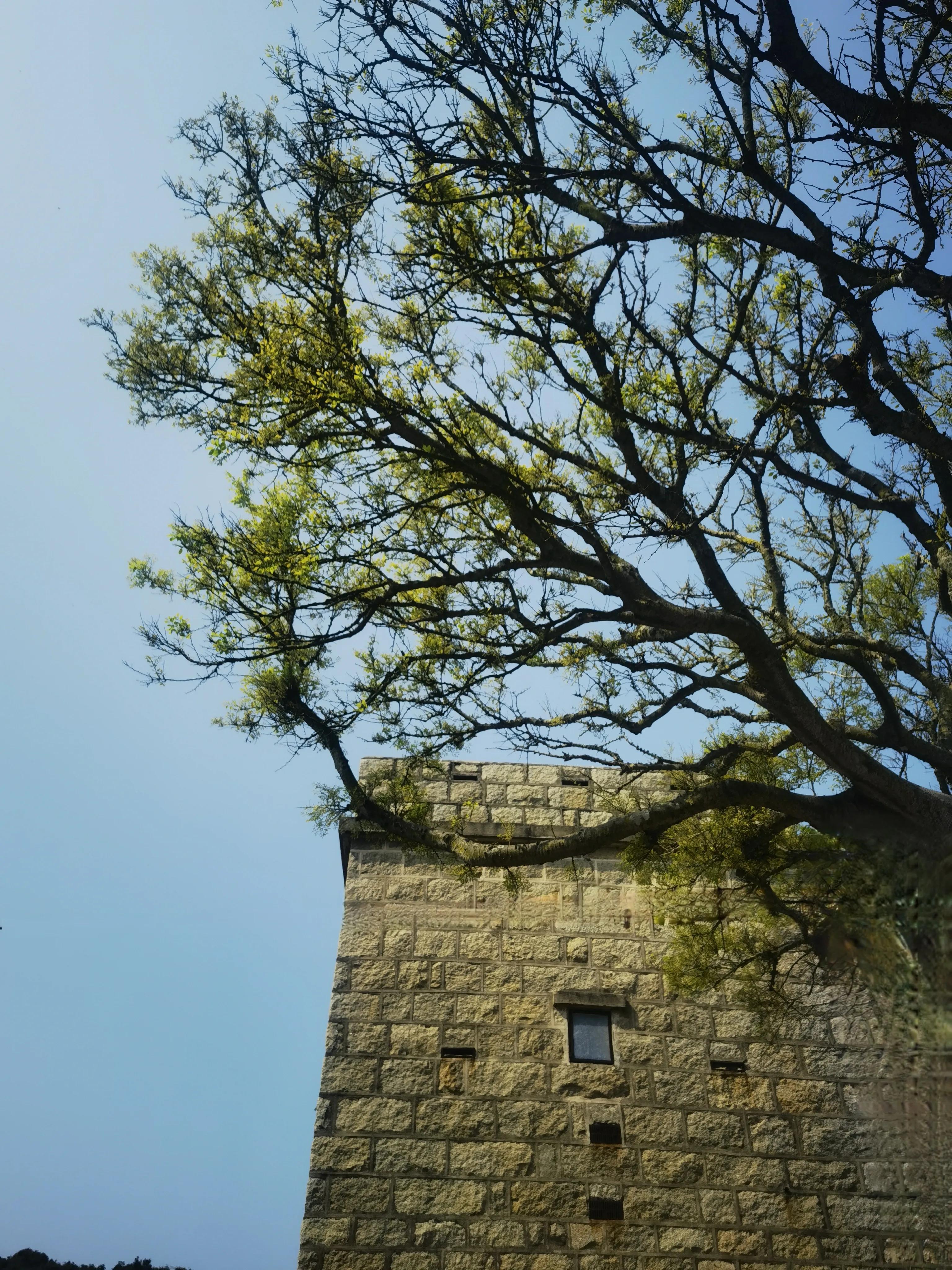 香港三日游和澳门一日游最佳线路,香港三日游最佳攻略