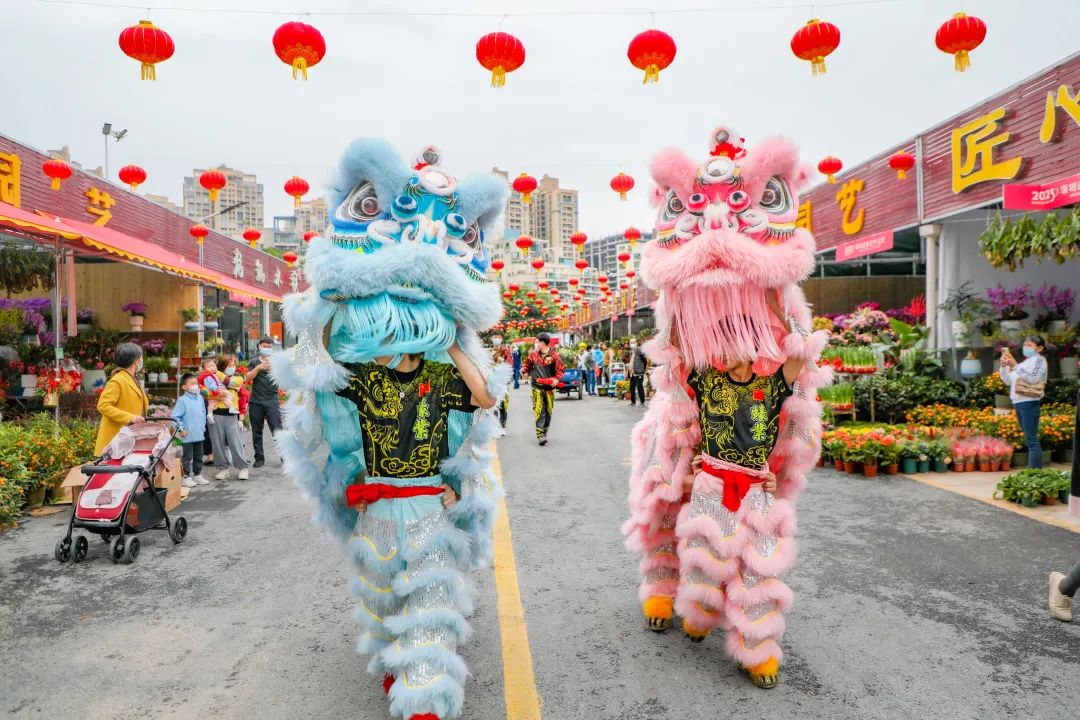 我为什么建议你来北上广深奋斗,我为什么建议你留在一线城市