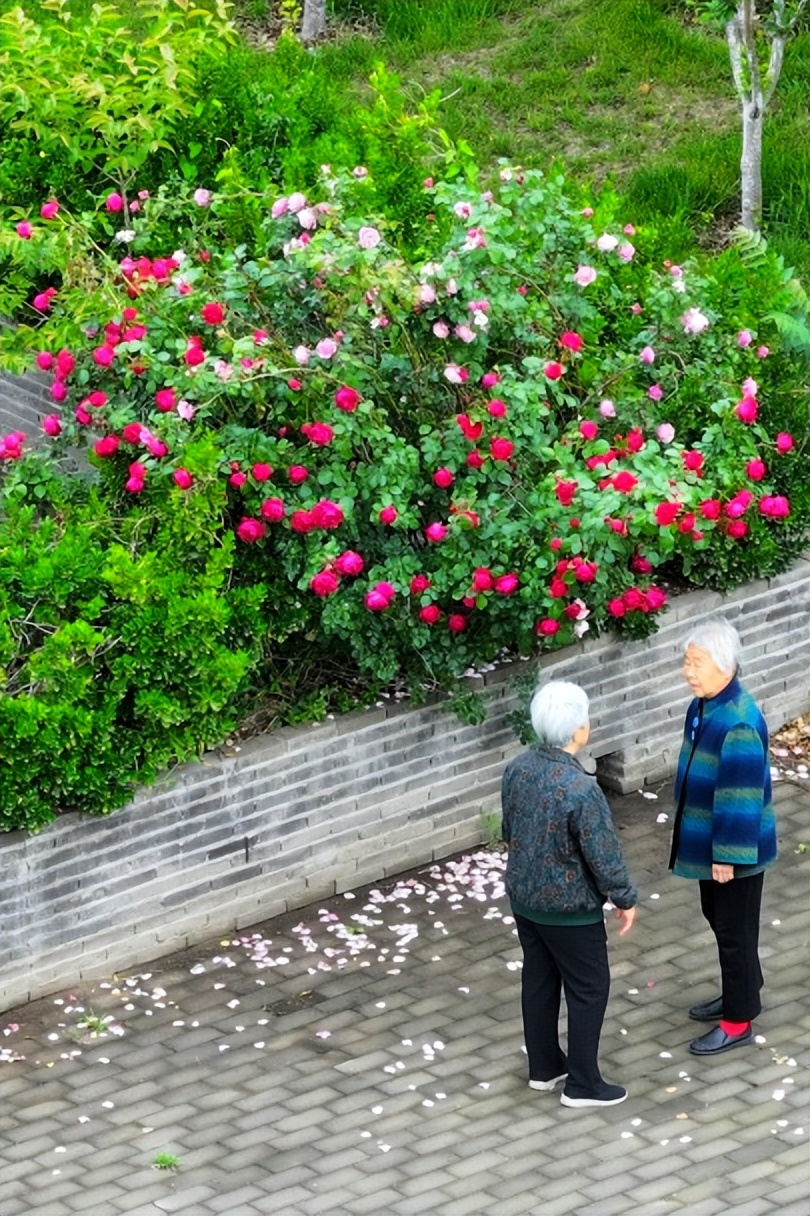 立夏时光美景,立夏时光打卡