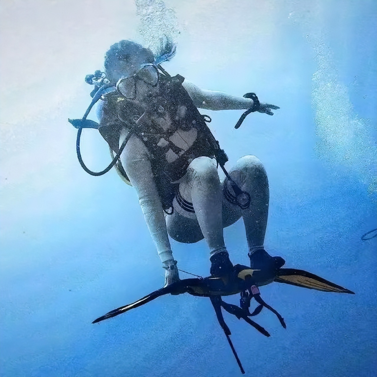 断舍离女孩火上央视抖音号,断舍离的女生抖音