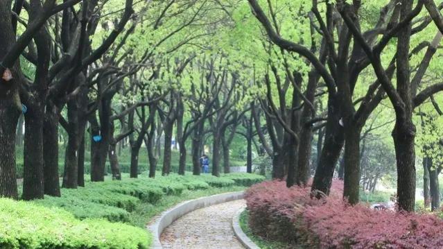 数学名词中的人生哲理,数学定理的人生哲理