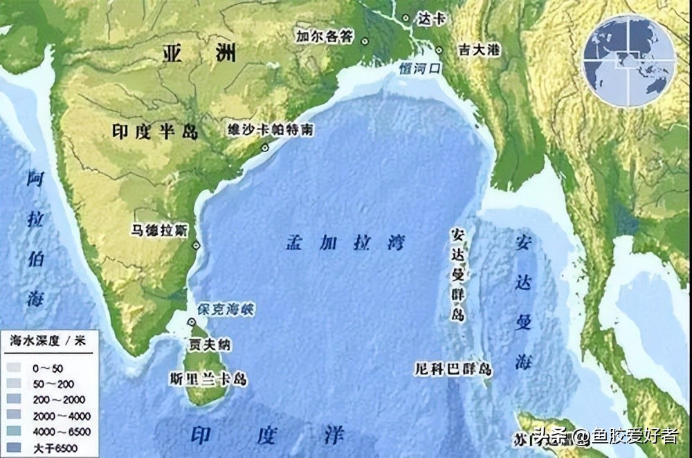 鱼胶哪个产地的最好,鱼胶最好的出产地在哪里