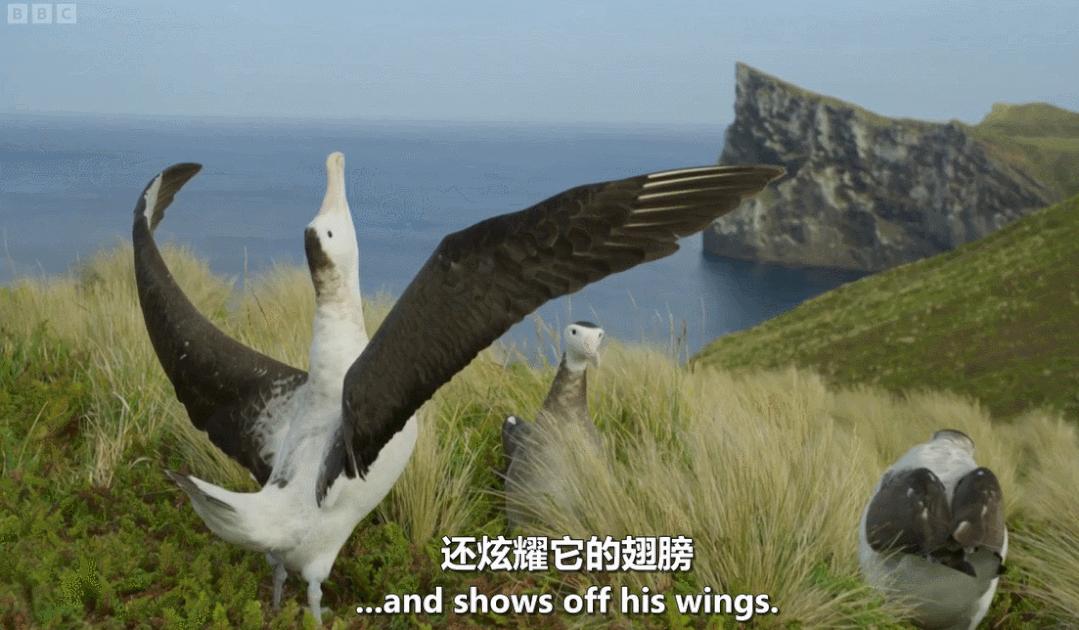 模范夫妻离婚了吗,再恩爱的夫妻最后都会离婚吗