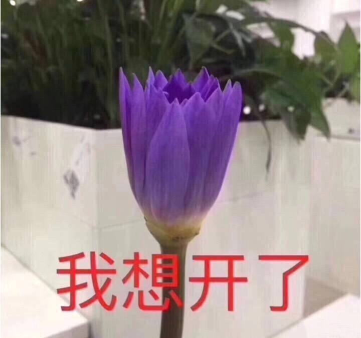 养殖塘泥皮,养殖塘产生泥皮的处理方法