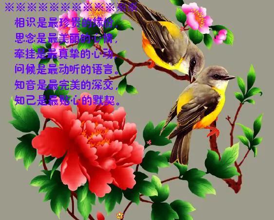 老婆和情人成了闺蜜,妻子和丈夫前女友相处成了好闺蜜