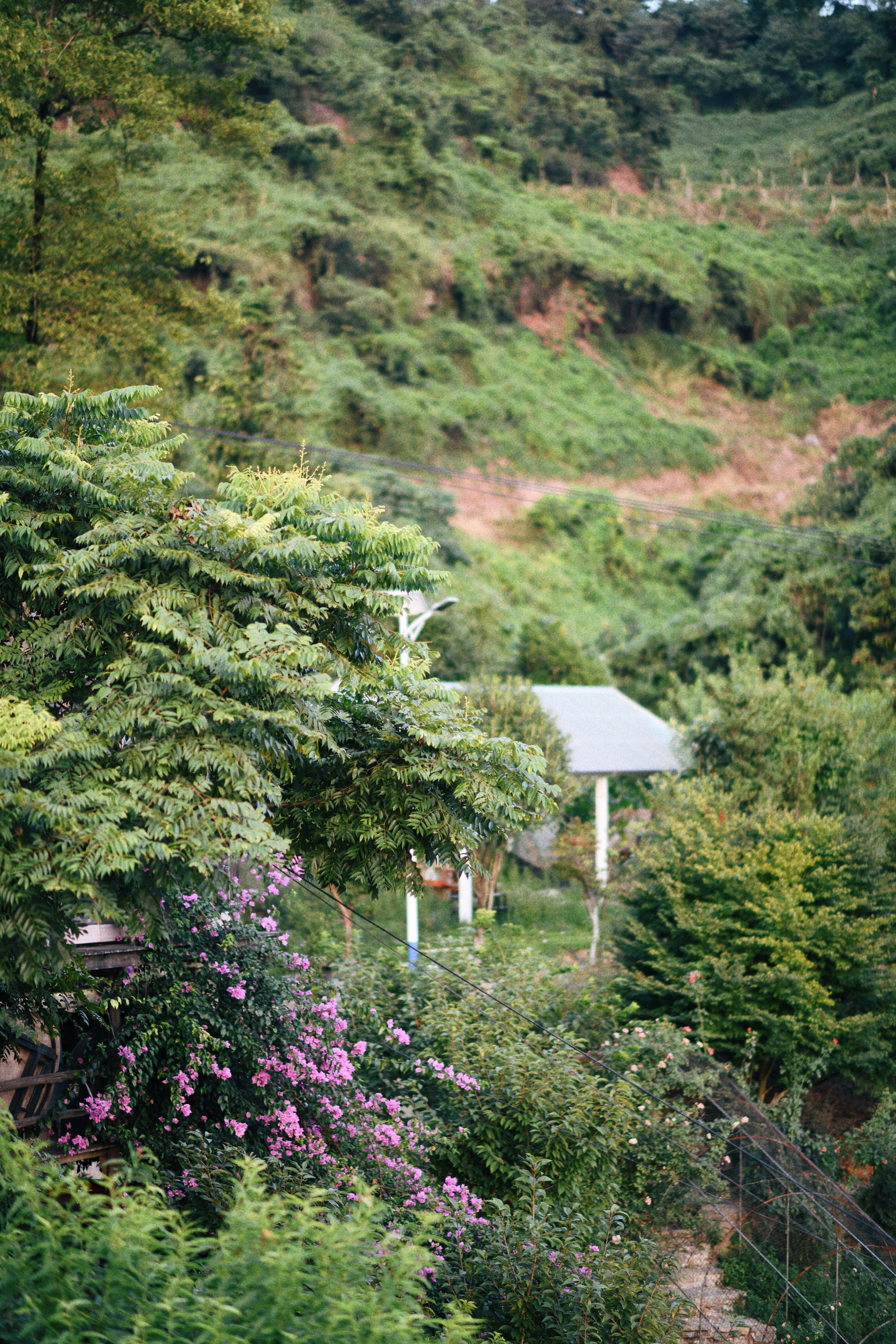 界石见山空谷民宿,巴南界石世外桃源