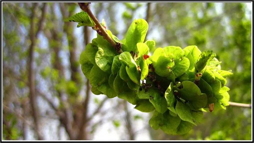 当你心里烦躁时该如何解决,当感到心烦意乱的时候