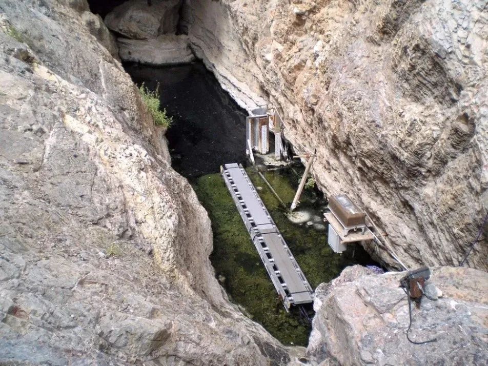 逆天改命绝地求生,逆天改命从小蝌蚪做起