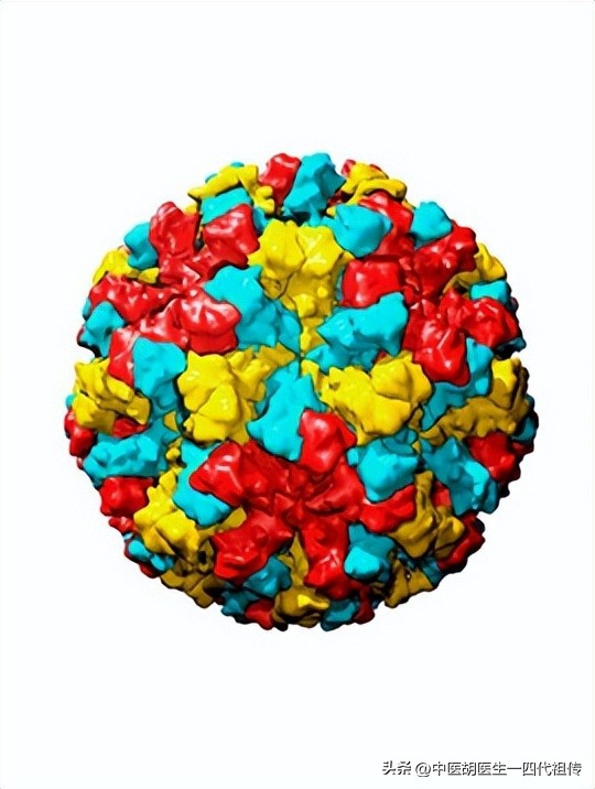 中医如何治疗诺如病毒,中医如何治疗诺如病毒性腹泻