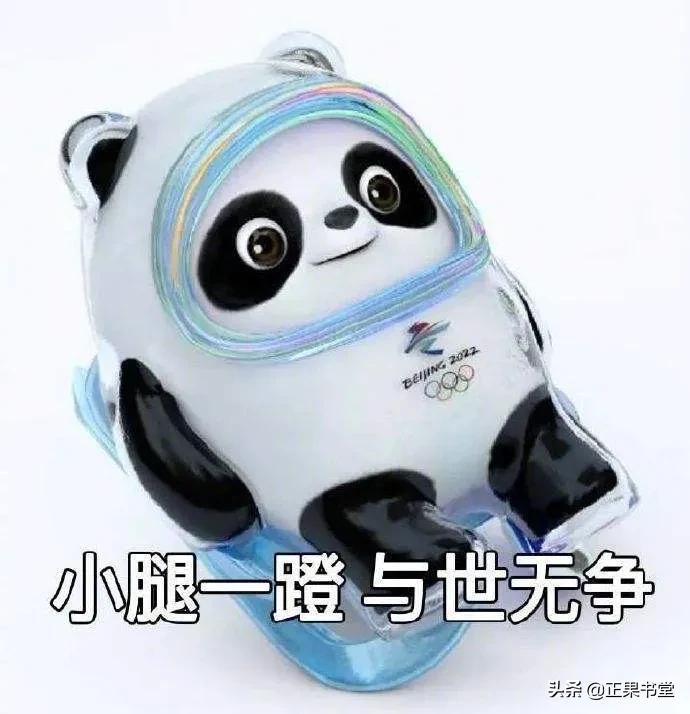 冰墩墩和他的出圈神曲,各种颜色的冰墩墩高清图片