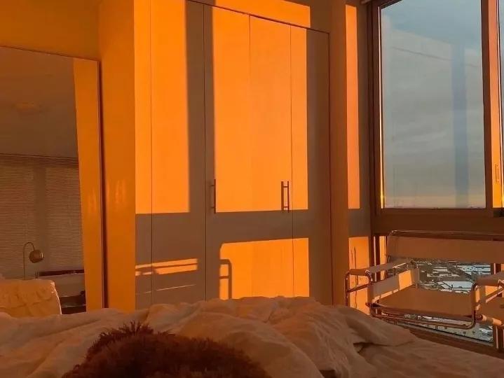 学城轨专业浪漫文案,各大专业的浪漫文案心理学