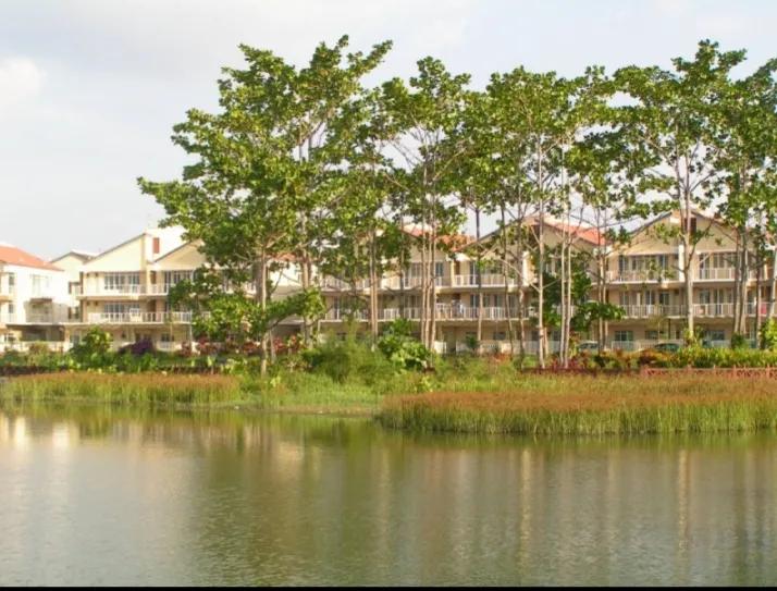 门前有水向右流什么意思,门前有水不是福屋后有山灾祸足