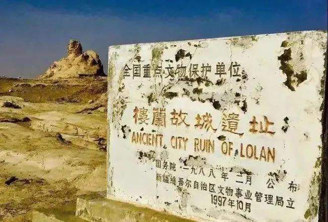 若羌枣,若羌黄口料