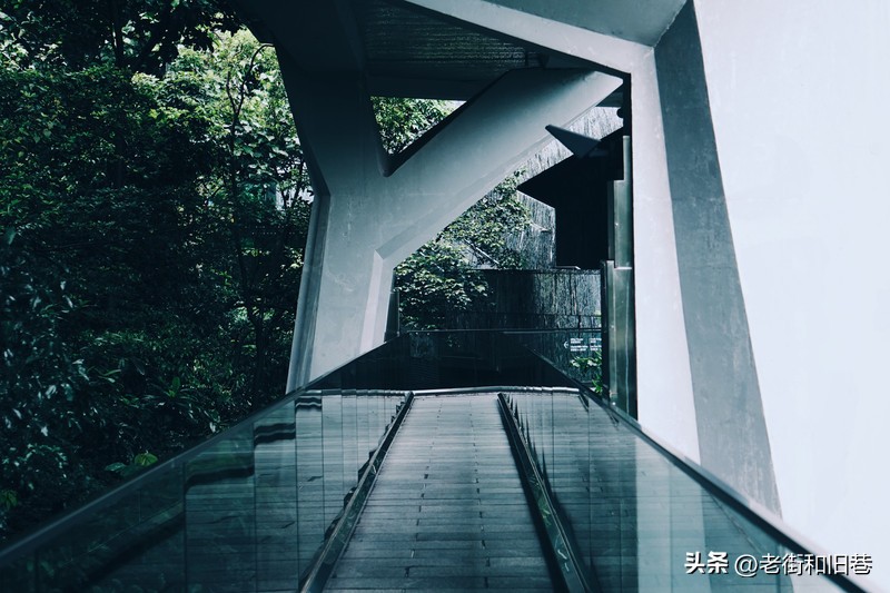 罗生门和黄粱梦,罗生门香港live