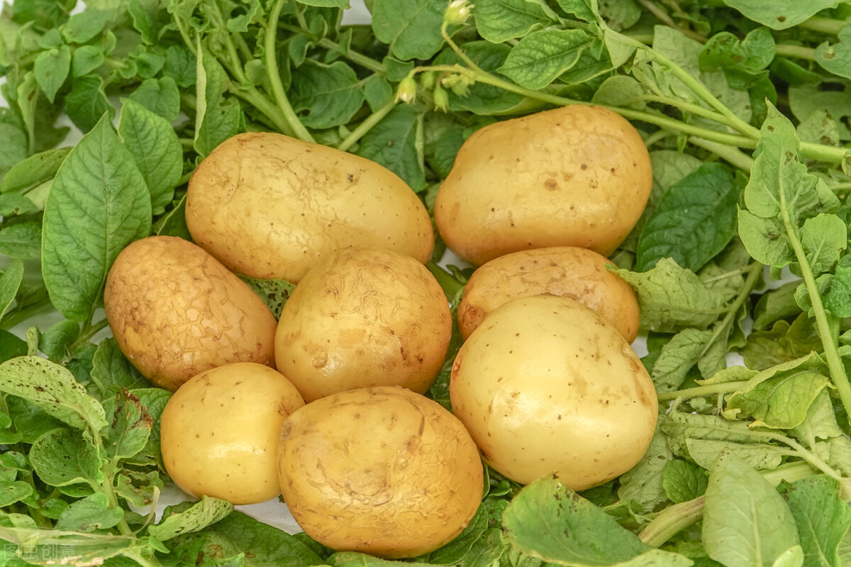 今天立冬吃什么对身体健康,立冬这天吃东西补吗