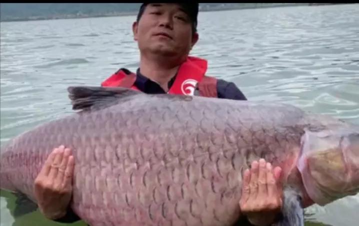 八卦一下，从鱼竿看出大师性格,文末有彩蛋