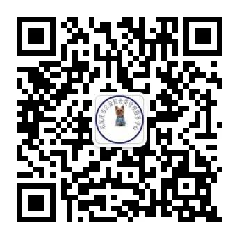 领养犬证最新规定,个人领养犬申请表