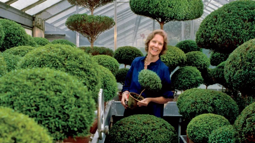 她是顶级豪门家族的千亿儿媳，一生低调，却连总统夫人都羡慕不已