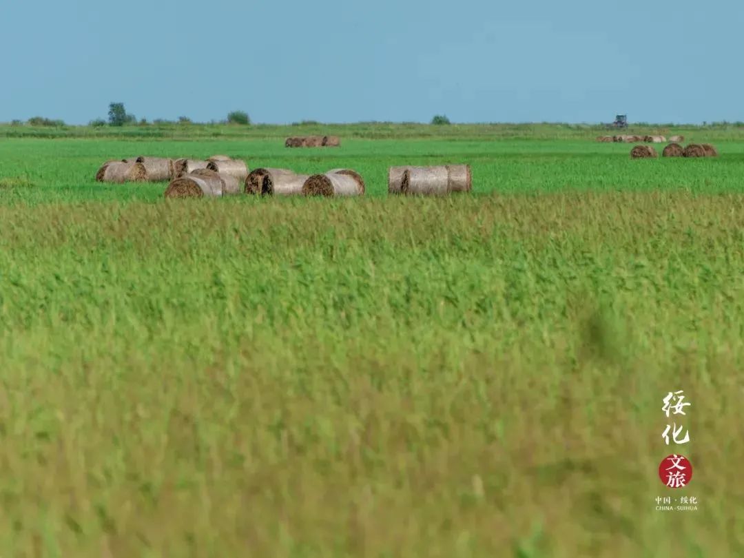 黑龙江有多美好图片,记忆中的黑龙江图片