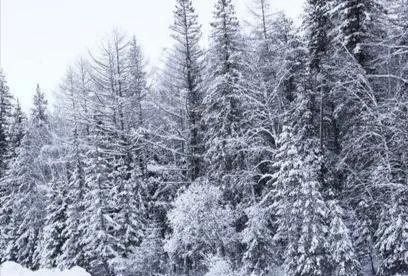 锯末小火炉,木炭小火炉室内家用