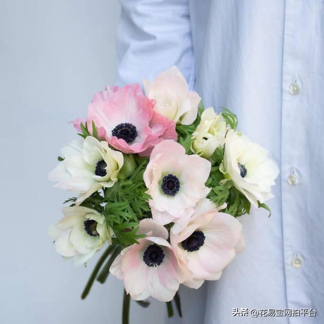 9月份红色好看的花材,颜值高的花束合集