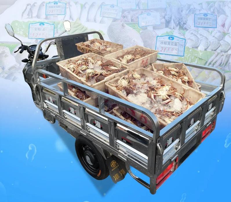 淮海电动三轮车哪款速度快,淮海电动三轮车60v32a